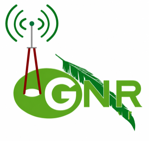 Green Networking Research Lab